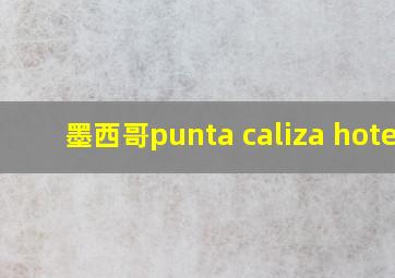 墨西哥punta caliza hotel